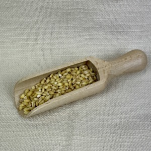 Bio-Rollgerste